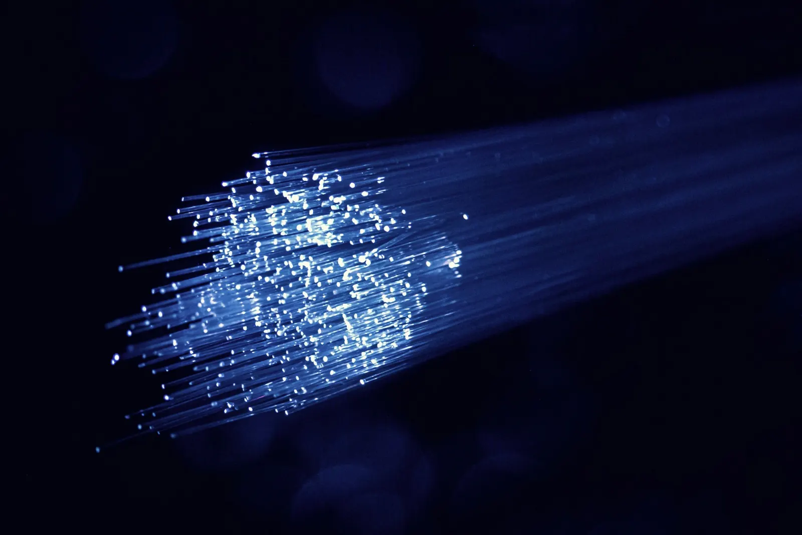 Fibre-optic strands carrying points of light