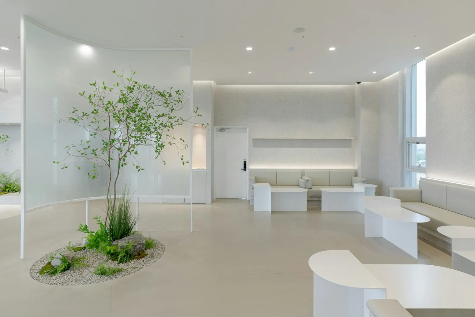 Bright, minimal clinic reception area with a small indoor tree