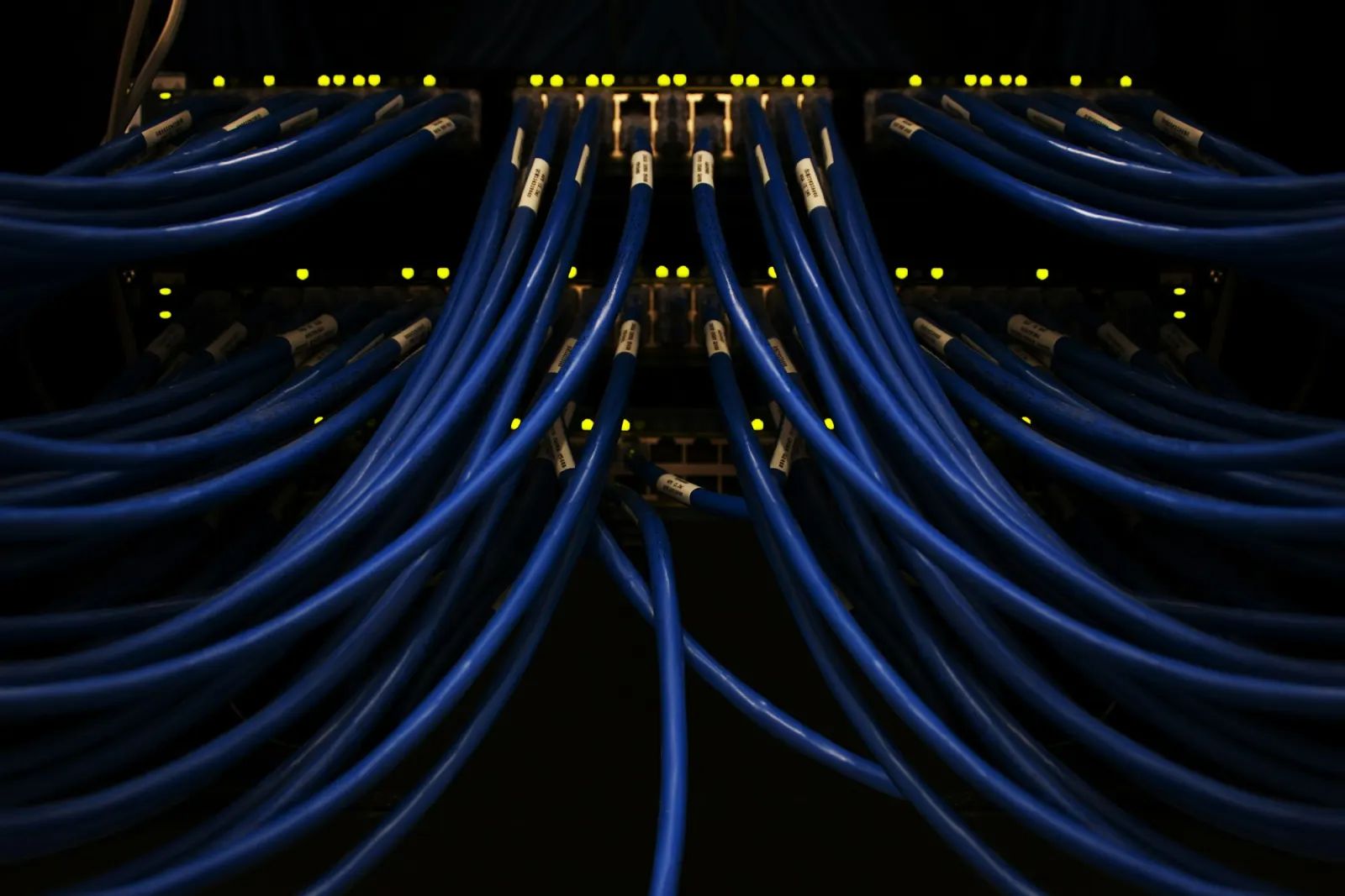 Blue network cables patched into a server rack